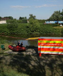 Setki śniętych ryb w Odrze. Czechy nie spieszą się z wyjaśnieniem