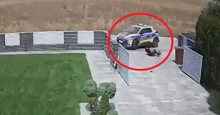 Zderzenie radiowozu z 12-latkiem w Pinczynie. Komentarz policji