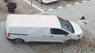 Namysłów: Kobieta w ciąży potrącona na pasach. Sprawca jechał za radiowozem policji
