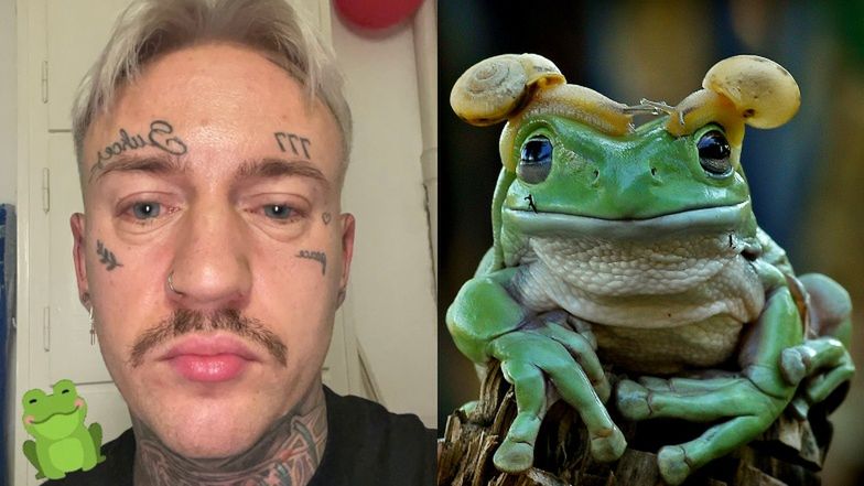 Stifler poddał się "zabiegowi" z JADEM AMAZOŃSKIEJ ŻABY