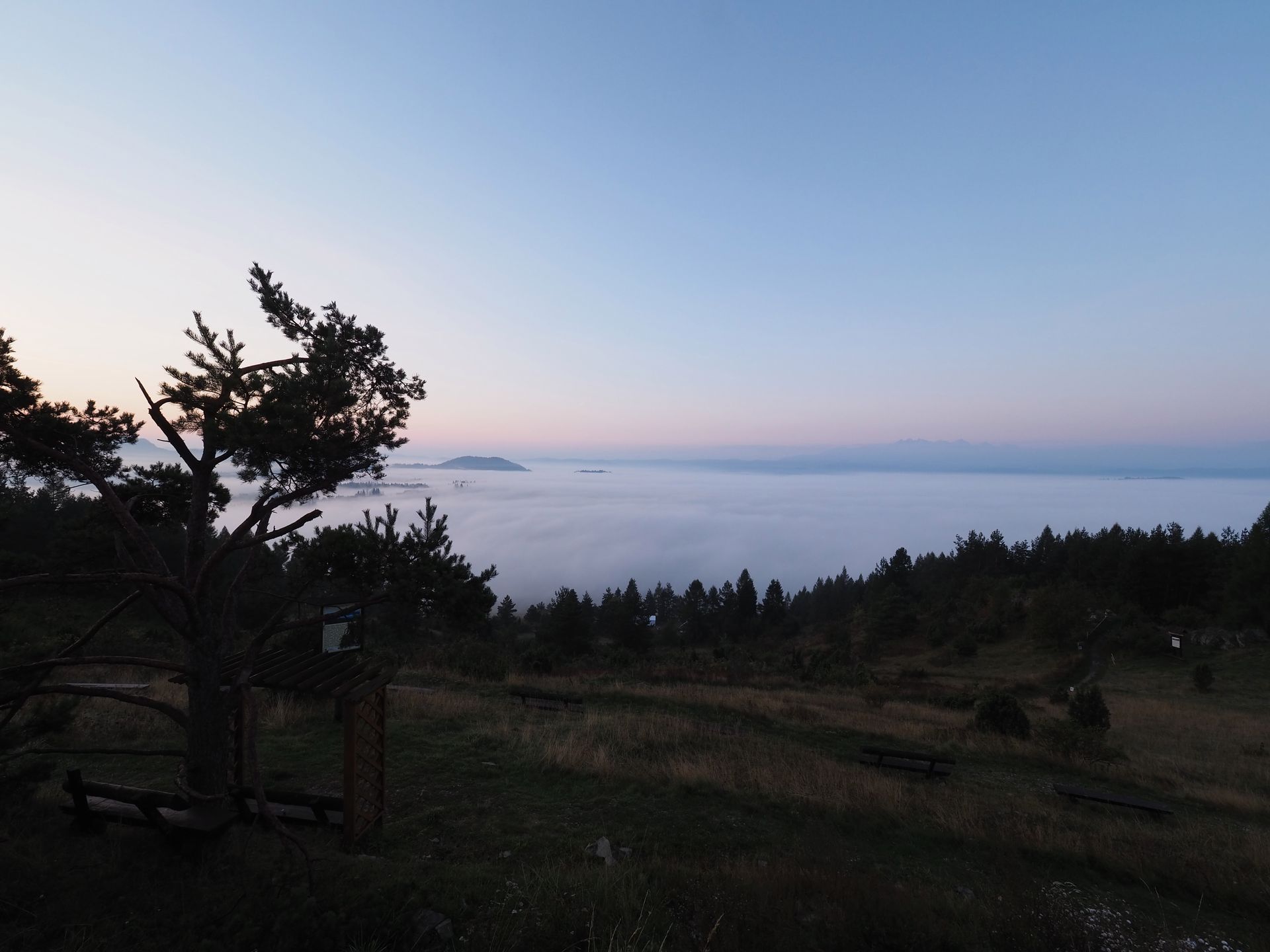 Olympus OM-D E-M10 Mark III - test nowego bezlusterkowca dla amatorów 40