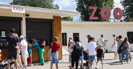 Setki interwencji w Warszawie przez silny wiatr. Zamknięto ZOO