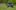 Test: Jeep Compass 4xe Limited – stracił charakter, zyskał konkurentów