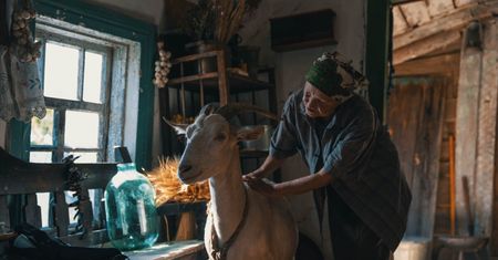 10. Ukraina! Festiwal Filmowy w Warszawie, czyli święto kina wolności