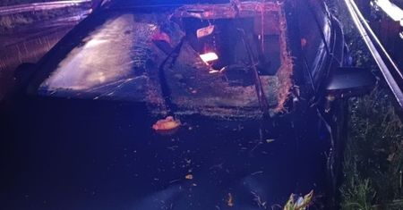 Wypadek na S1 w Mysłowicach. Auto uderzyło w łosia. Ranny kierowca trafił do szpitala