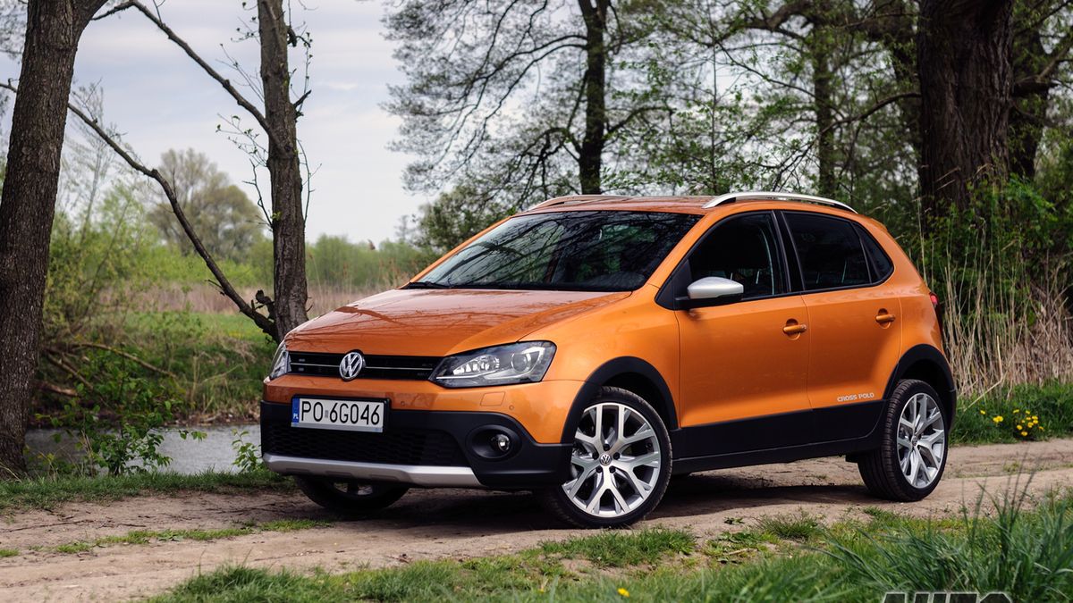 Zdjęcie ilustracyjne do artykułu