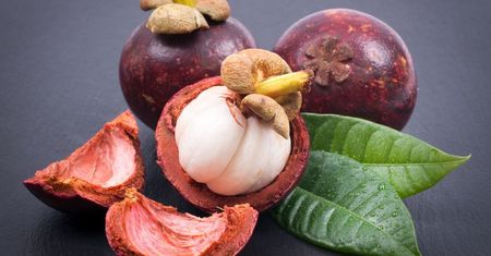 Mangostan właściwy – zastosowanie, właściwości i walory prozdrowotne