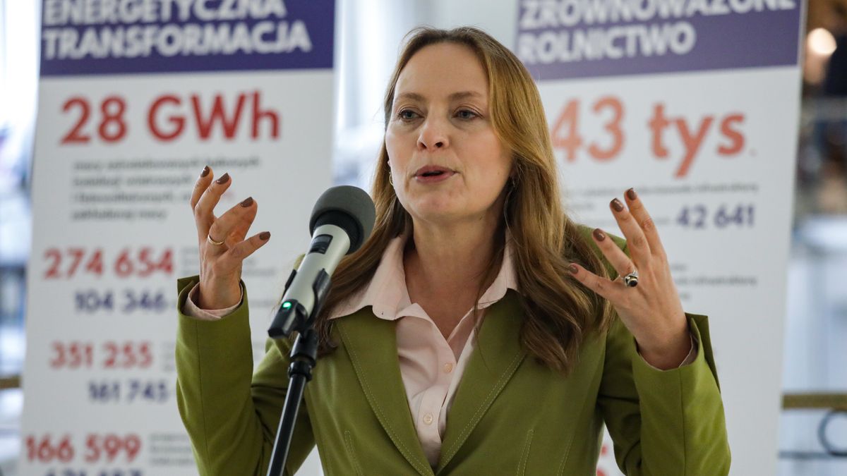 Warszawa, 13.06.2025. Minister funduszy i polityki regionalnej Katarzyna Pełczyńska-Nałęcz podczas konferencji prasowej w Sejmie w Warszawie, 13 bm. (sko) PAP/Tomasz Gzell