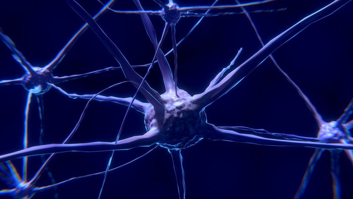 Neurony, zdjęcie ilustracyjne