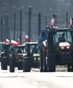 Kto jest odpowiedzialny za falę protestów? Polacy wskazują winnych