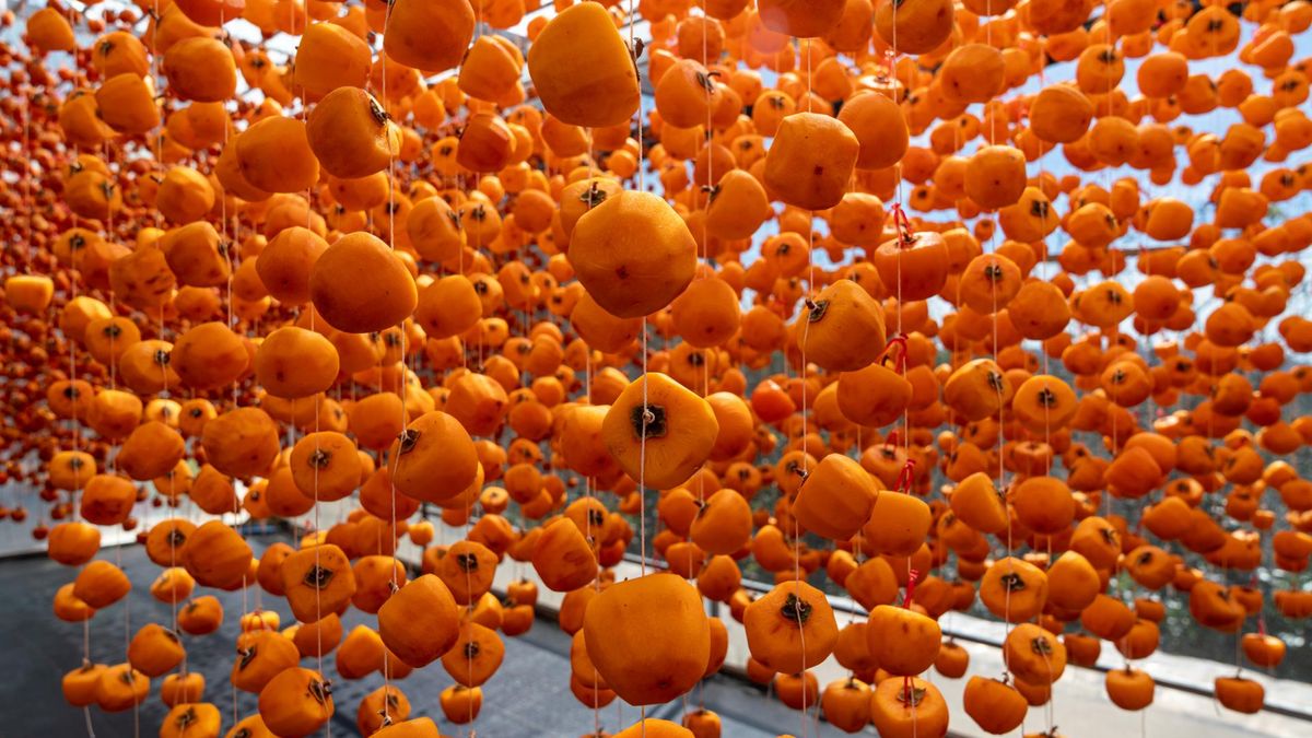 Kaki wspiera serce i trawienie. Naturalna tarcza przeciwzapalna i antyoksydacyjna