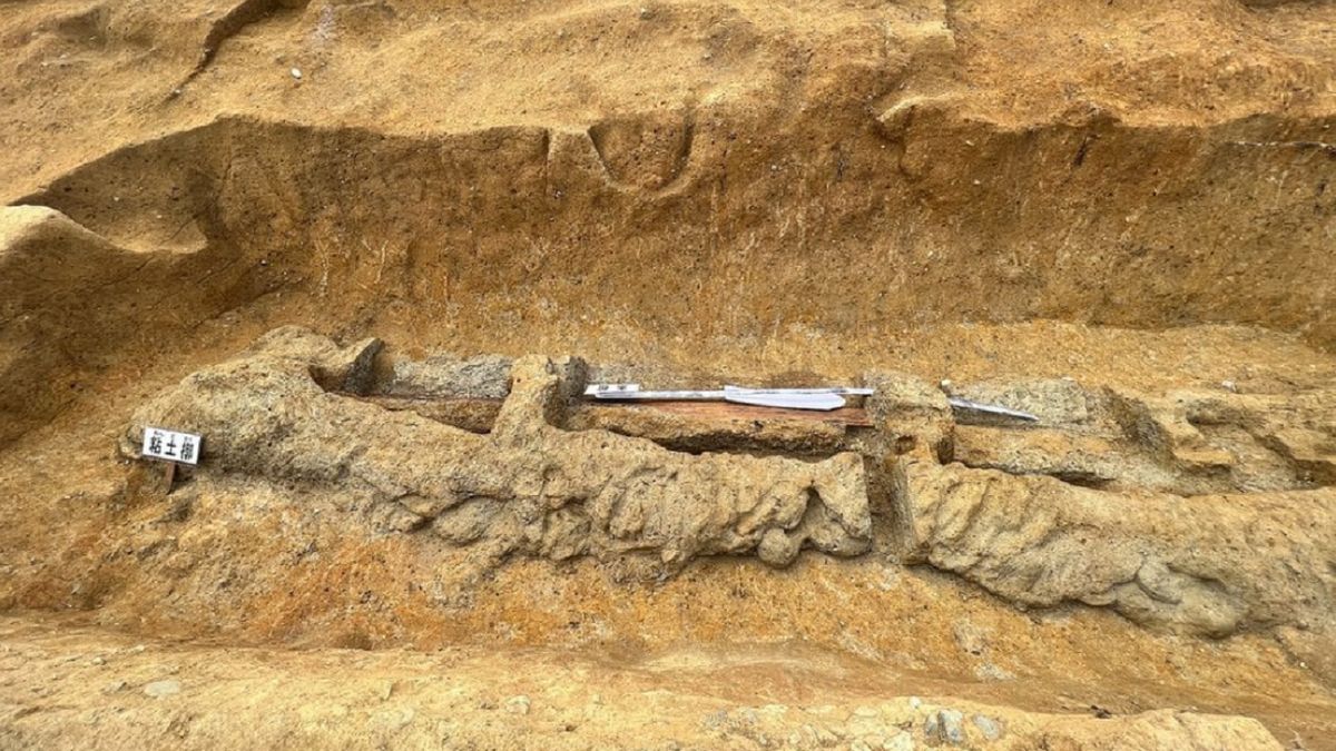 Niezwykły miecz ma ponad 2 metry.