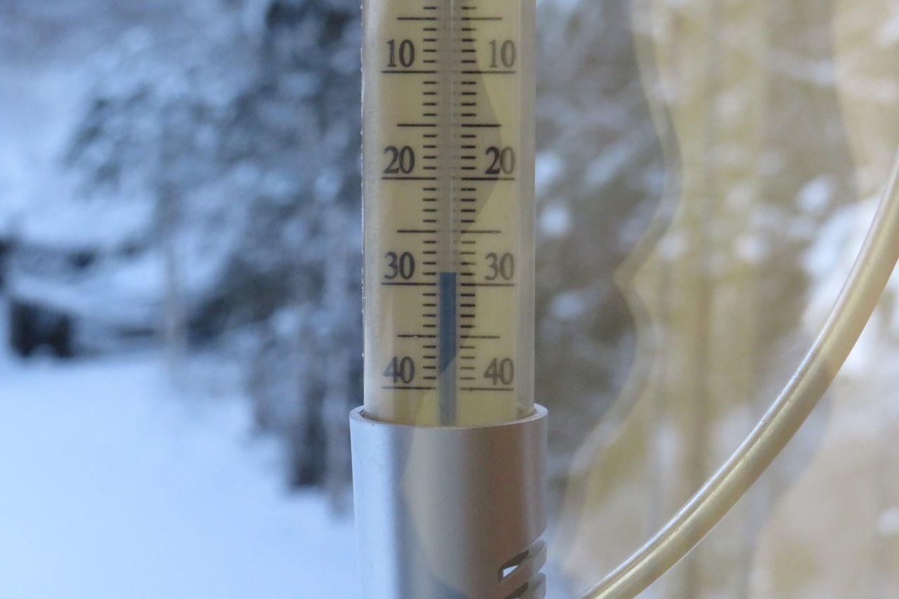 "Meldujemy -29 st. C". Leśnicy pokazali dowód