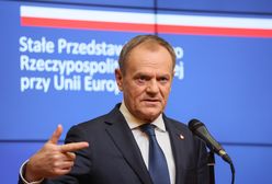 Zatrudniono córkę posłanki. Tusk kazał ją wyrzucić