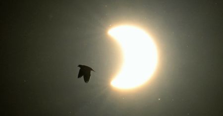 Dwa zaćmienia Słońca w 2025 roku. Jedno będzie widoczne w Polsce