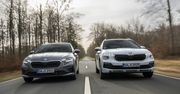 Od Fabii do Superba – modele Škody z bogatym wyposażeniem Edition 130 w niższej cenie. Ile można zaoszczędzić dzięki jubileuszowi?