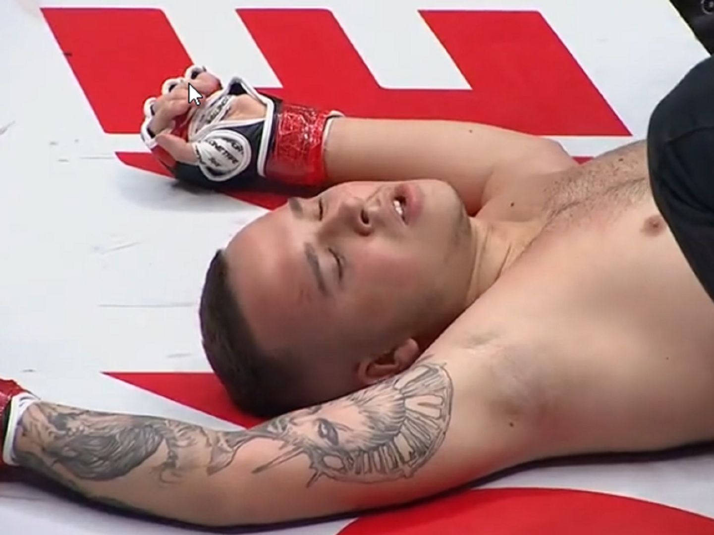 Gran cosa en Prime Show MMA.  ¿Es el peor jugador de Polonia?  – o2