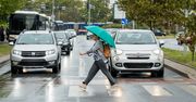 Gorzów: Wzór dla innych miast. Tu pieszy nie boi się wejść na pasy