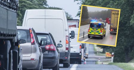 Polak pierwszy raz się z tym spotkał. "20 lat za kierownicą w Szwecji"