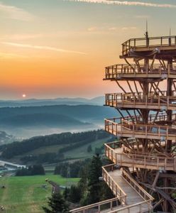Trasa liczy ponad kilometr. Unikatowa "ścieżka w chmurach" w Krynicy-Zdroju