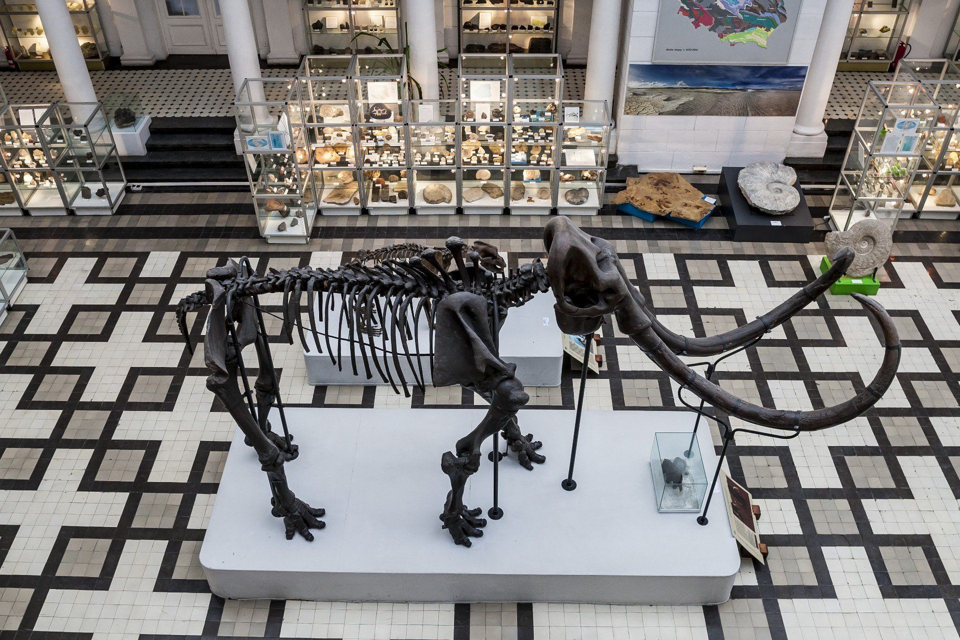 Muzeum Geologiczne Państwowego Instytutu Geologicznego