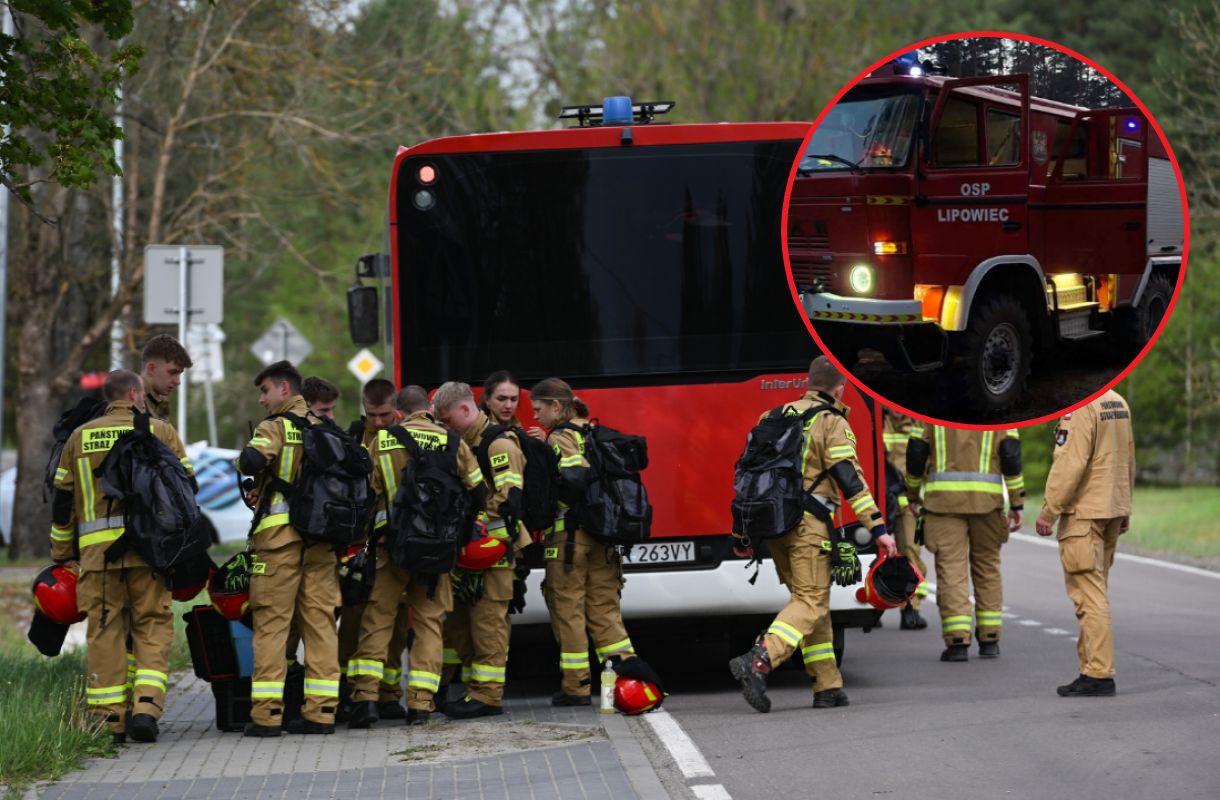 Gasili pożar w Puszczy Solskiej. Teraz potrzebują pieniędzy. Ruszyły zbiórki