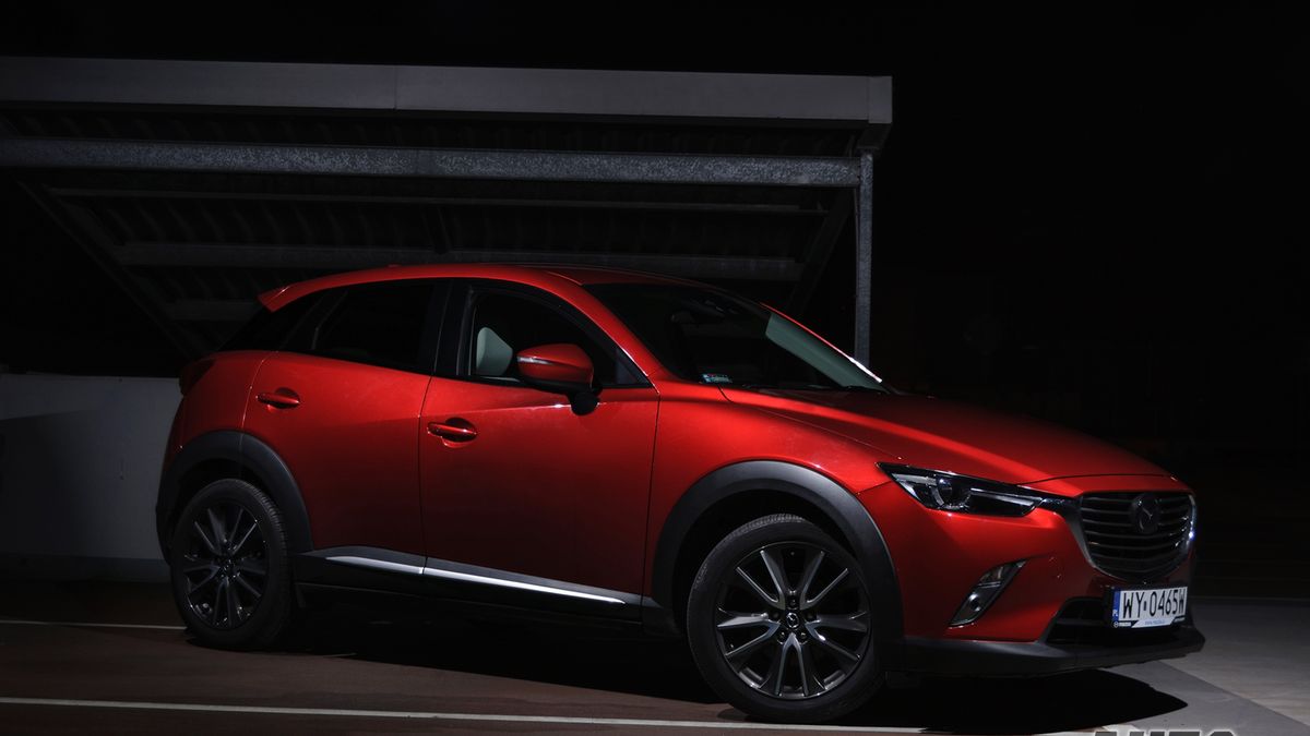 Zdjęcie ilustracyjne do artykułu