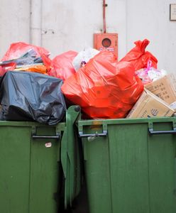 Zmiany w segregacji śmieci. Gminy każą kupować nowy pojemnik