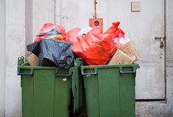 Zmiany w segregacji śmieci. Gminy każą kupować nowy pojemnik