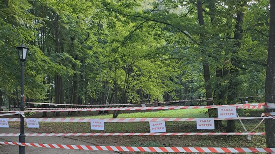 W Bolesławiu znowu zapadła się ziemia