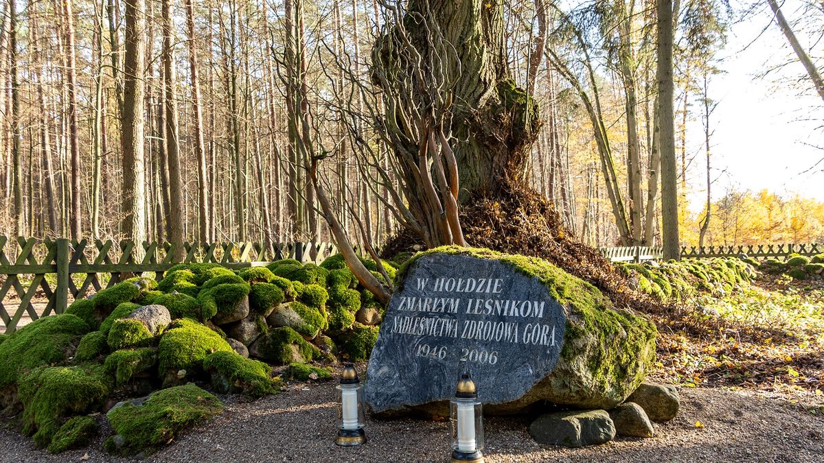 Cmentarz Leśników w Dobrzycy pod Piłą.