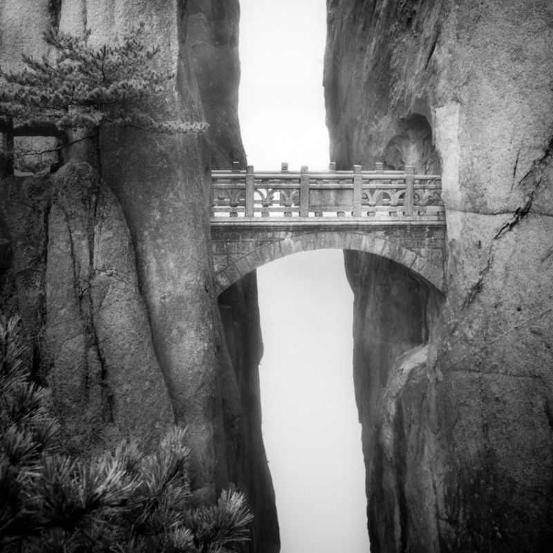 Znamy zwycięzców Black & White Spider Awards. Marek Lapis wielokrotnie wyróżniony 22