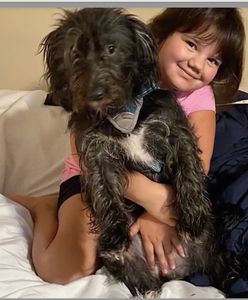 Zabójcze balony. Siedmiolatka w USA zmarła po urodzinowej imprezie