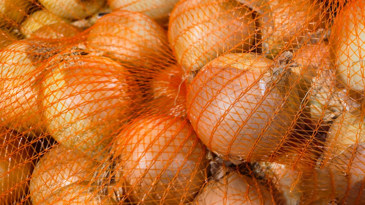 Gdzie powinno przechowywać się cebule? 