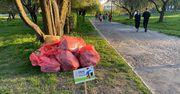 "Posprzątajmy Lublin na wiosnę". Miejscy urzędnicy zachęcają