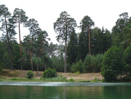 Obraz
