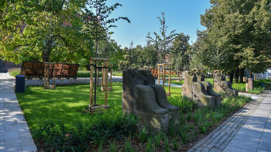 park zieleń wrocław wiosna pogoda