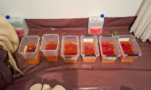 Produkowali narkotyki na posesji. CBŚP przerwało proceder