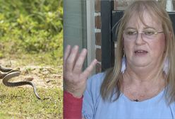 Dwa ataki podczas koszenia trawnika. Kobieta z Teksasu przeżyła niewiarygodną przygodę