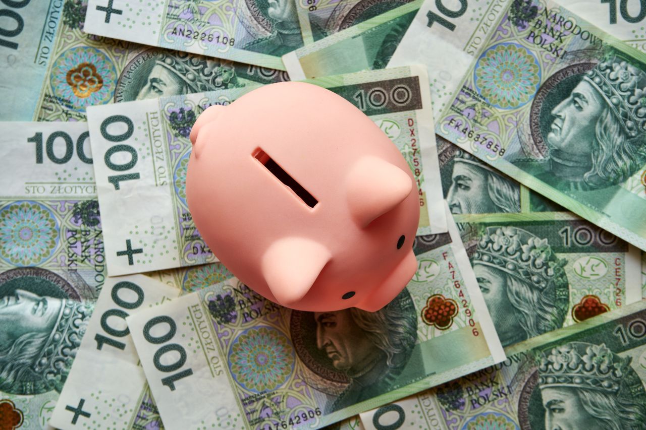 Toruń: Mieszkańcy regionu masowo wypłacają pieniądze z PPK