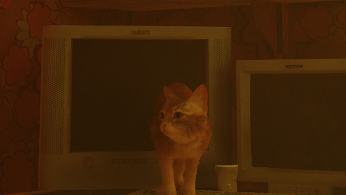 Stray - kocia historia to coś więcej, niż symulator skakania