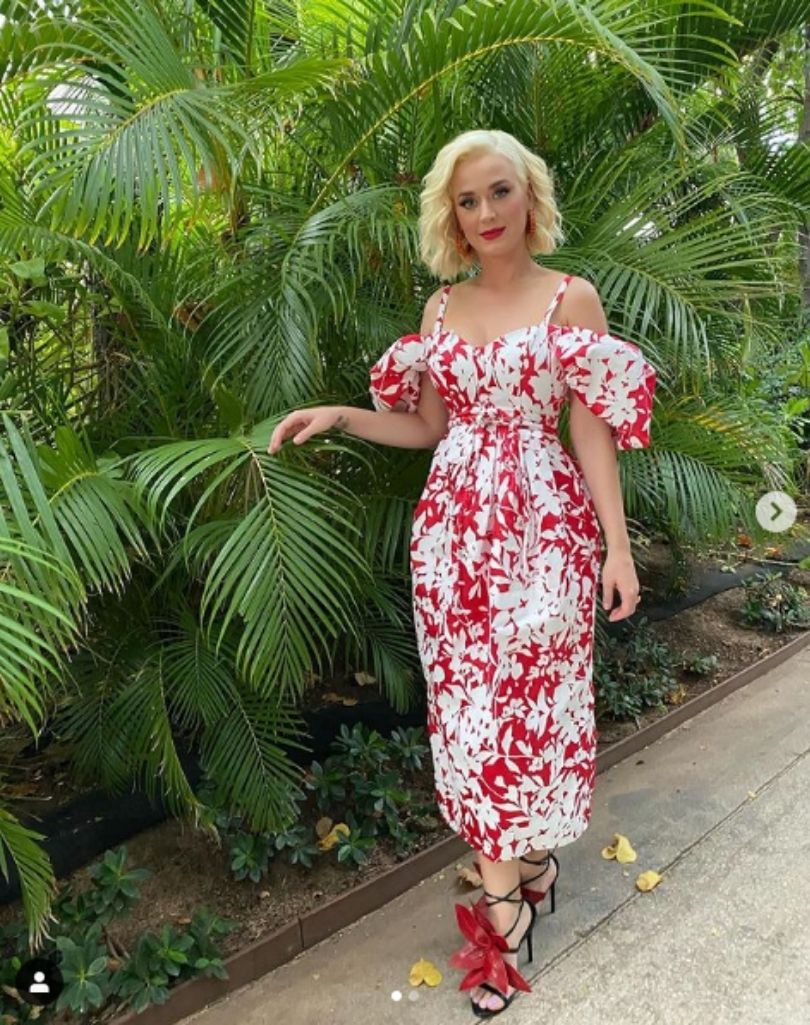 Pies Katy Perry przeszedł na weganizm? 