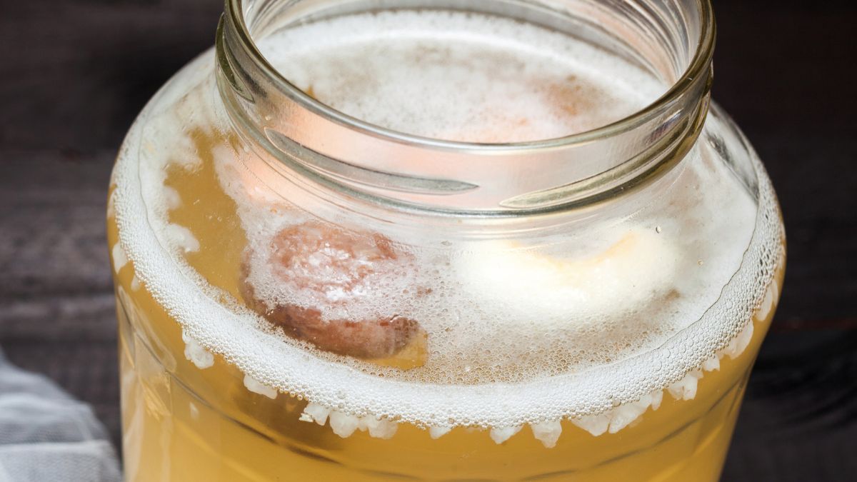 Kefir wodny to zdrowy napój probiotyczny z bąbelkami