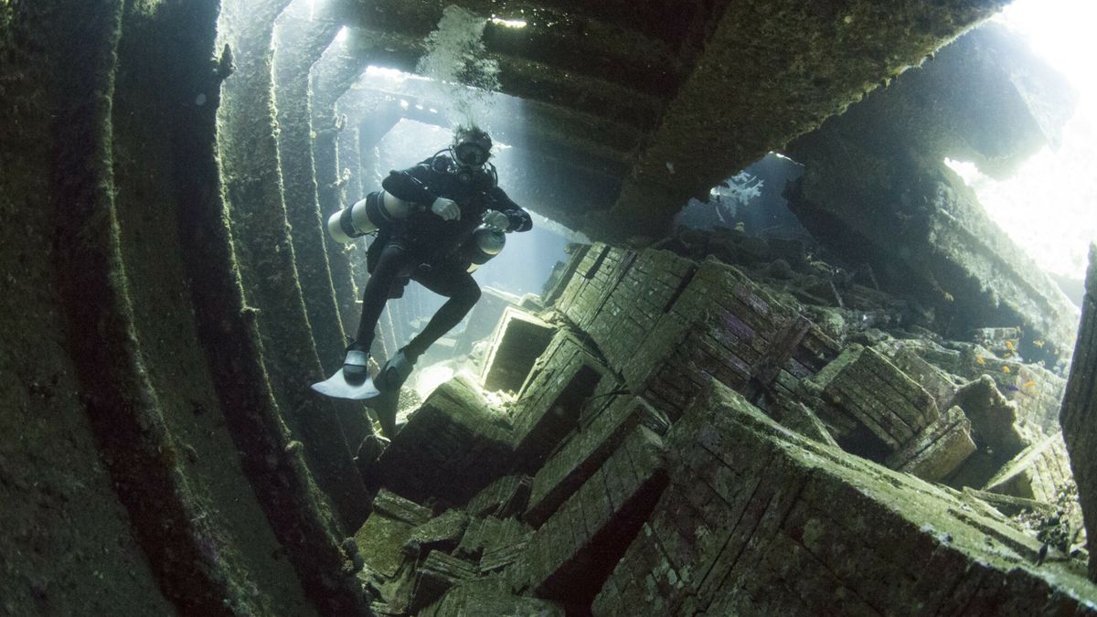 Robert Harding December 2013 Update Premium
Diving the wreck of The Giannis D, Red Sea, Egypt, North Africa, Africa