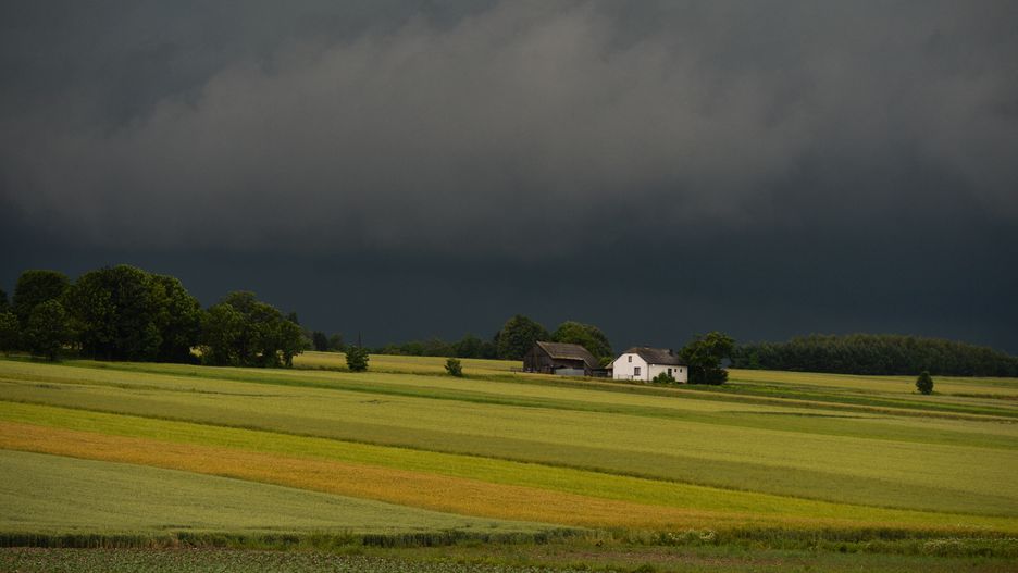 Pył skalny dodatkową bronią przeciw zmianie klimatu. 