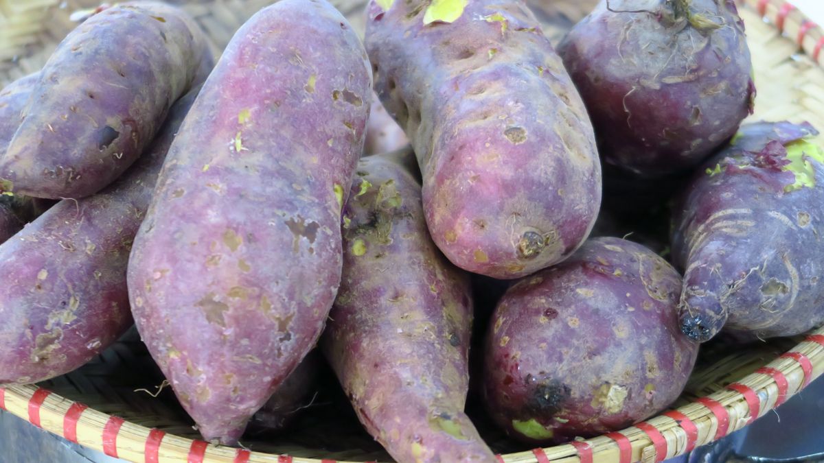 Fioletowe ziemniaki