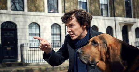 Serialowy "Sherlock" powróci na ekrany? Twórca serialu skomentował doniesienia