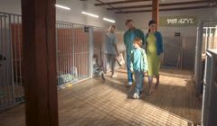 Provident Polska „pomaga spełniać duże marzenia”