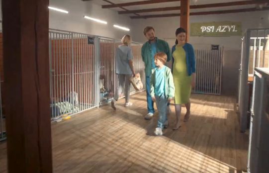 Provident Polska „pomaga spełniać duże marzenia”