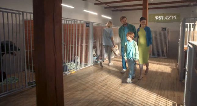 Provident Polska „pomaga spełniać duże marzenia”